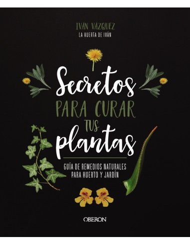 Secretos para curar tus plantas