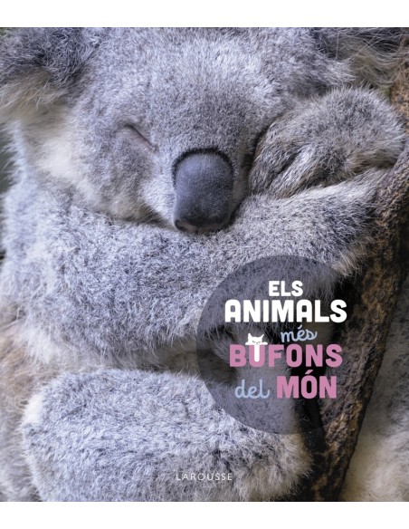 Els animals mes bufons del mon