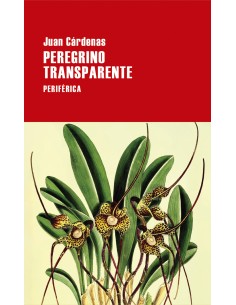 Peregrino transparente