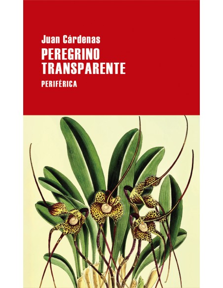 Peregrino transparente