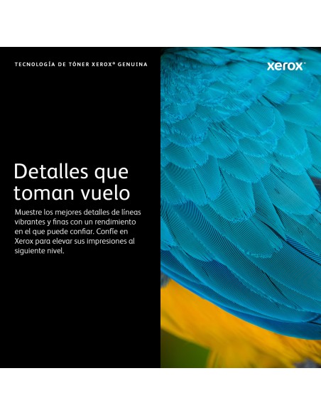 VersaLink C50X Cartucho de tóner negro de capacidad estándar (5000 páginas)