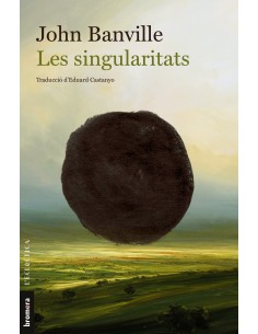 Les singularitats