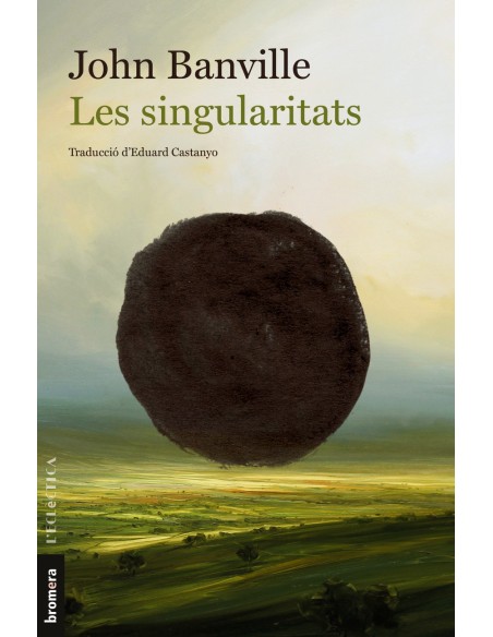 Les singularitats