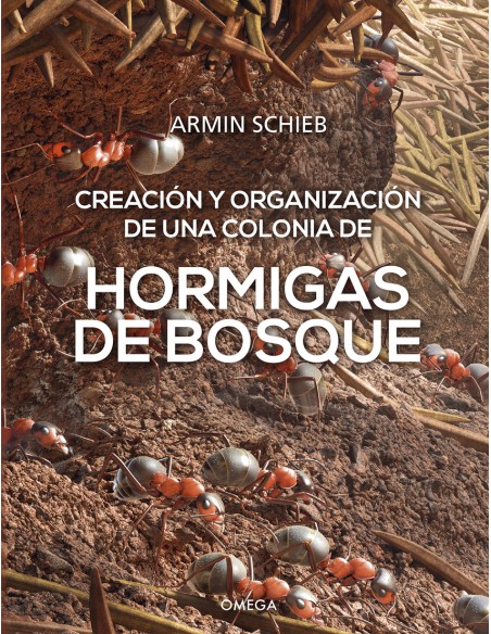 HORMIGAS DE BOSQUE CREACION Y ORGANIZACION DE UNA COLONIA