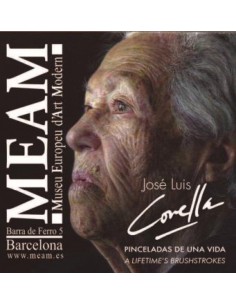 Pinceladas de una vidaA lifetime s Brushstrokes