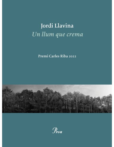 Un llum que crema