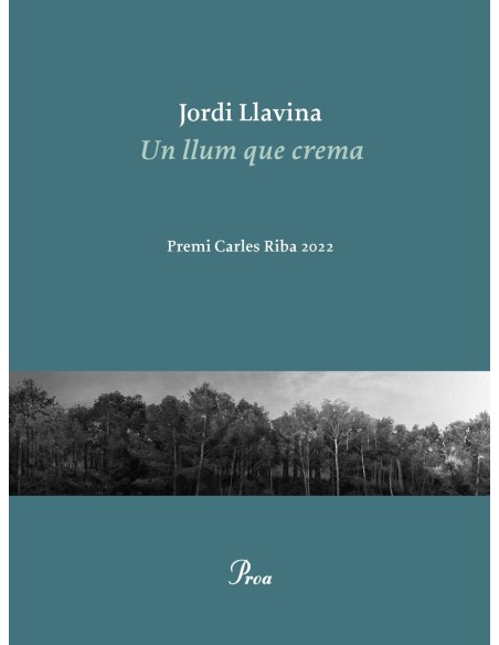 Un llum que crema