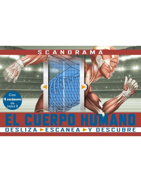 Scanorama El cuerpo humano
