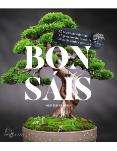 Bonsais