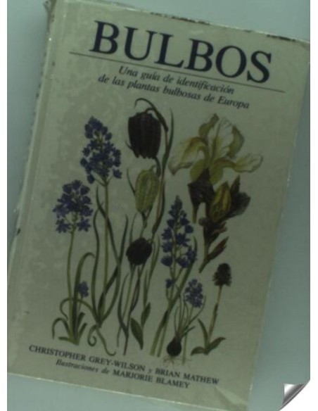 BULBOS