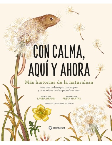 CON CALMA AQUI Y AHORA