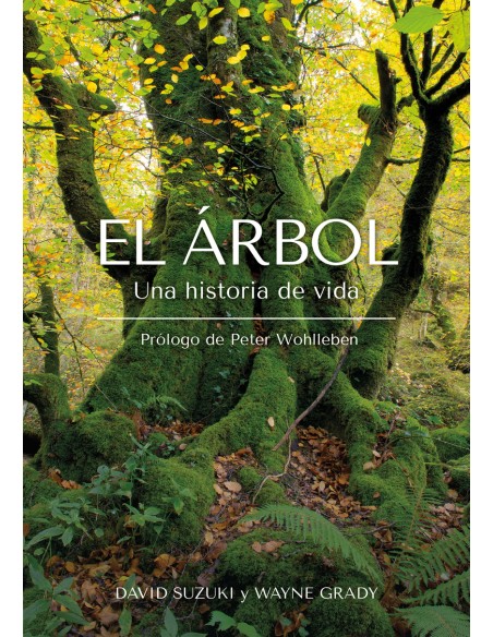 El Arbol