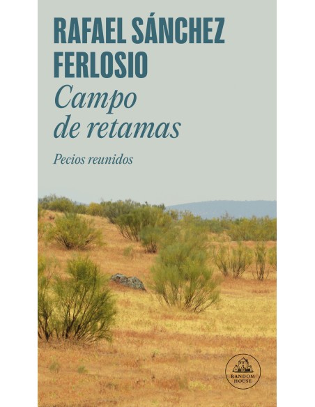 Campo de retamas