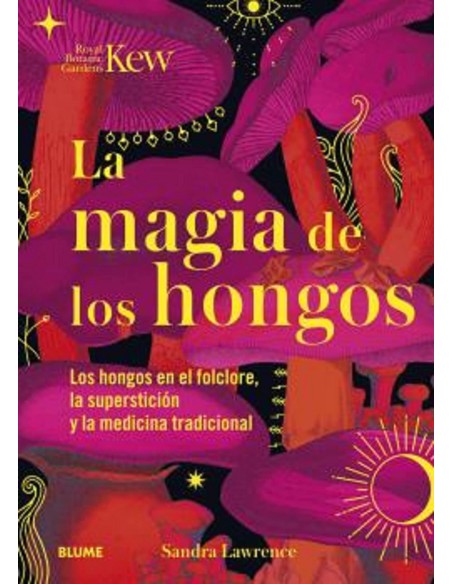 Magia de los hongos