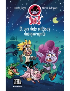 El cas dels mitjons desapareguts