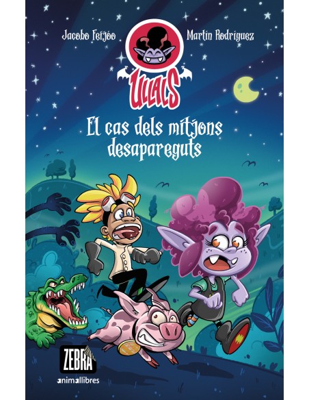 El cas dels mitjons desapareguts