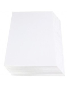 PAQ 12 CARTON PLUMA 70X100 5MM BLANCO
