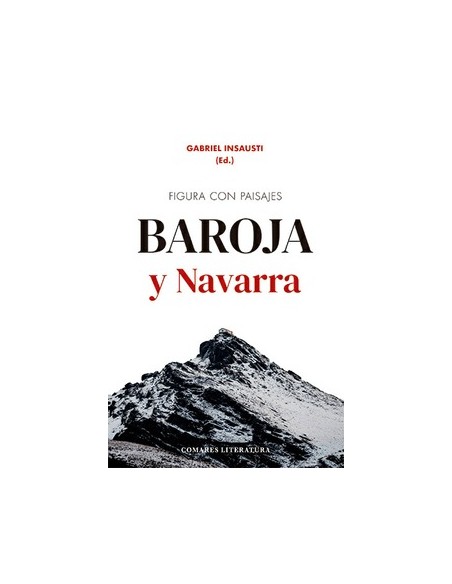 FIGURA CON PAISAJES BAROJA Y NAVARRA