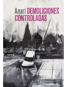 Demoliciones controladas