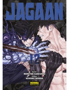 JAGAAN 12