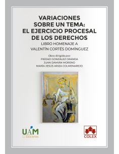 Variaciones sobre un tema el ejercicio procesal de los derechos