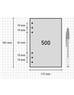 RECAMBIO LISO OPEN R442 91X152MM