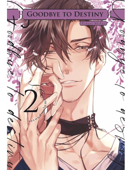 GOODBYE TO DESTINY 02