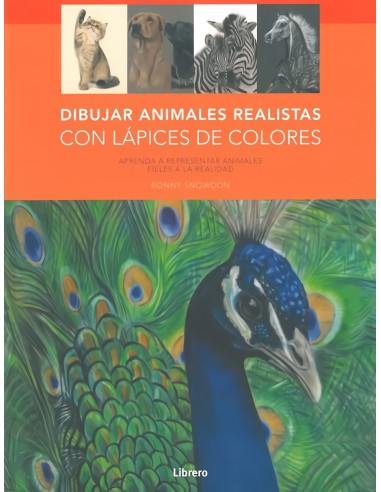 DIBUJOREALISTACOLORLAPICESANIMALES