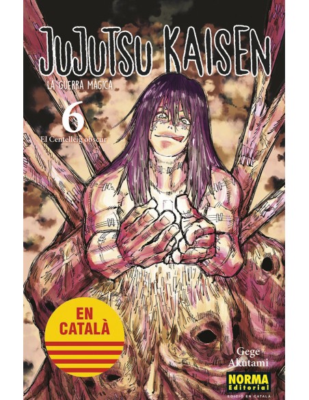 JUJUTSU KAISEN 06 CATALA