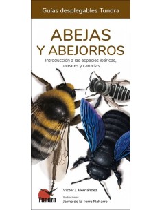 ABEJAS Y ABEJORROS GUIAS DESPLEGABLES TUNDRA