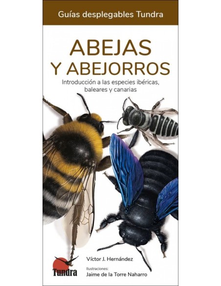 ABEJAS Y ABEJORROS GUIAS DESPLEGABLES TUNDRA