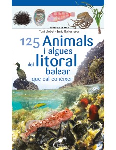 125 Animals i algues del litoral balear que cal coneixer