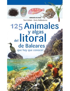 125 Animales y algas del litoral de Baleares que hay que conocer