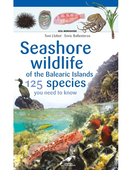 Seashore wildlife of the Balearic Islands