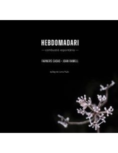Hebdomadari