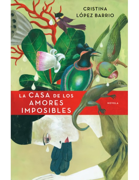 La casa de los amores imposibles