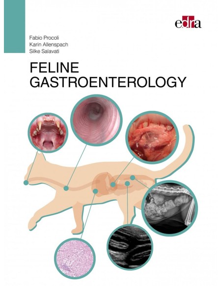 FELINE GASTROENTEROLOGY