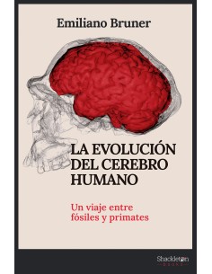 La evolucion del cerebro humano