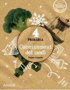 CONEIXEMENT MEDI 4TPRIMARIA OPERACIO MON VALENCIA 2023