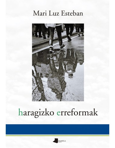 haragizko erreformak