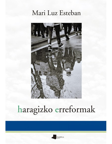 haragizko erreformak