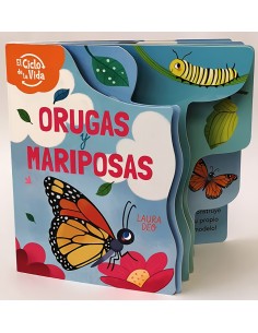 ORUGAS Y MARIPOSAS EL CICLO DE LA VIDA