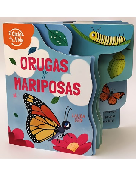 ORUGAS Y MARIPOSAS EL CICLO DE LA VIDA