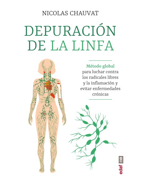 Depuracion de la linfa