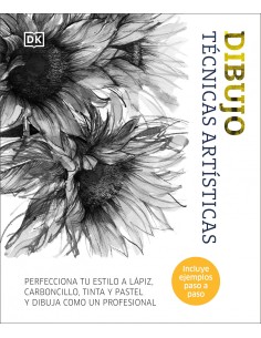 DIBUJO TECNICAS ARTISTICAS