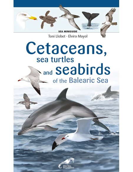 Cetaceans sea turtles and seabirds of the Balearic Sea