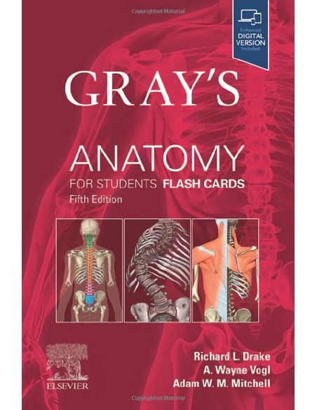 Gray s anatomy for students flash cards