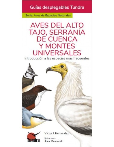 AVES DEL ALTO TAJO SERRANIA DE CUENCA Y MONTES UNIVERSALES GUIAS DESPLEGABLES