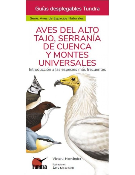 AVES DEL ALTO TAJO SERRANIA DE CUENCA Y MONTES UNIVERSALES GUIAS DESPLEGABLES