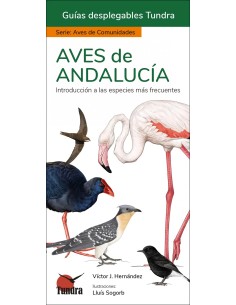 AVES DE ANDALUCIA GUIAS DESPLEGABLES TUNDRA